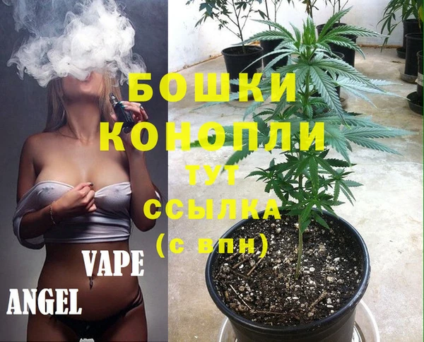 прущие крисы Каменногорск