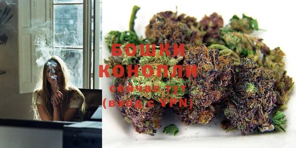 прущие крисы Каменногорск